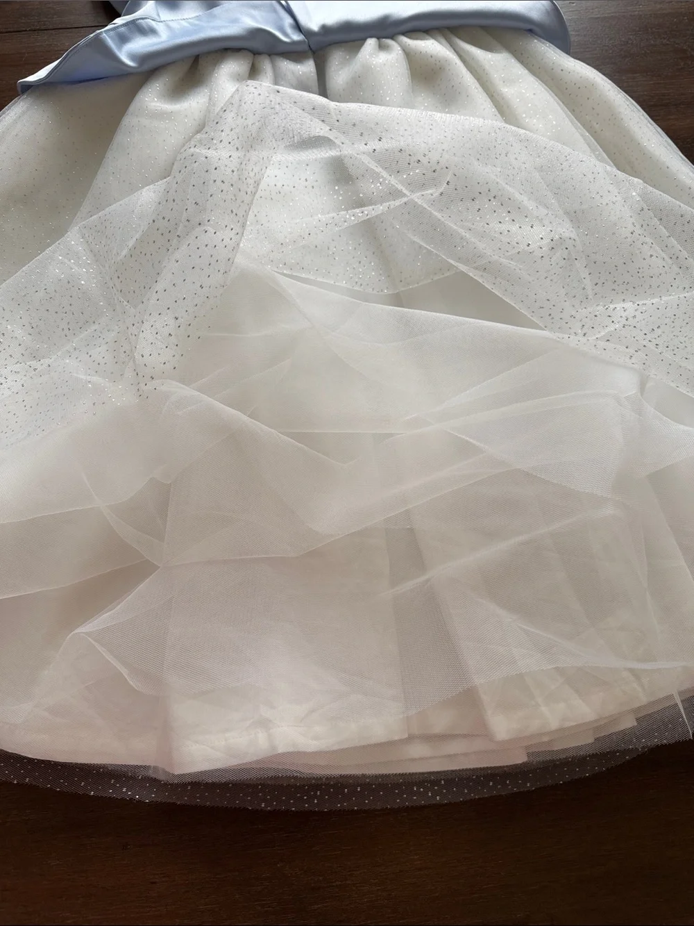 NWOT Sz 10 Disney X Janie and Jack Cinderella tulle dress